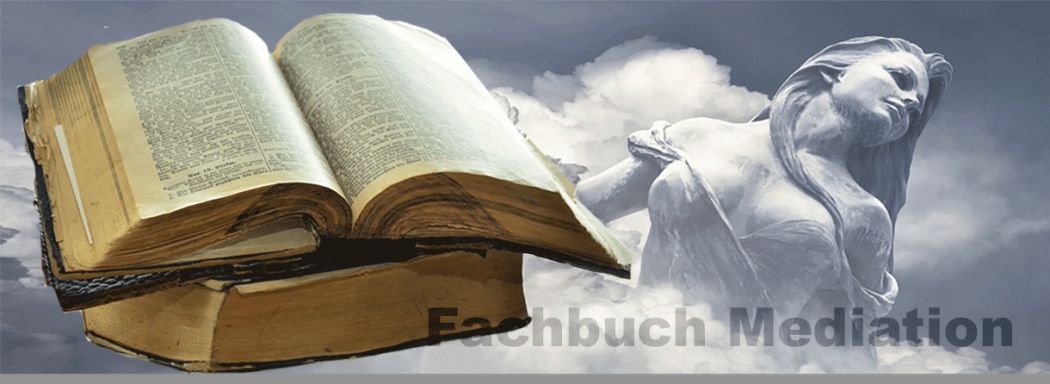 Fachbuch Mediation